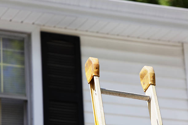 Best Insulated Siding Installation  in USA